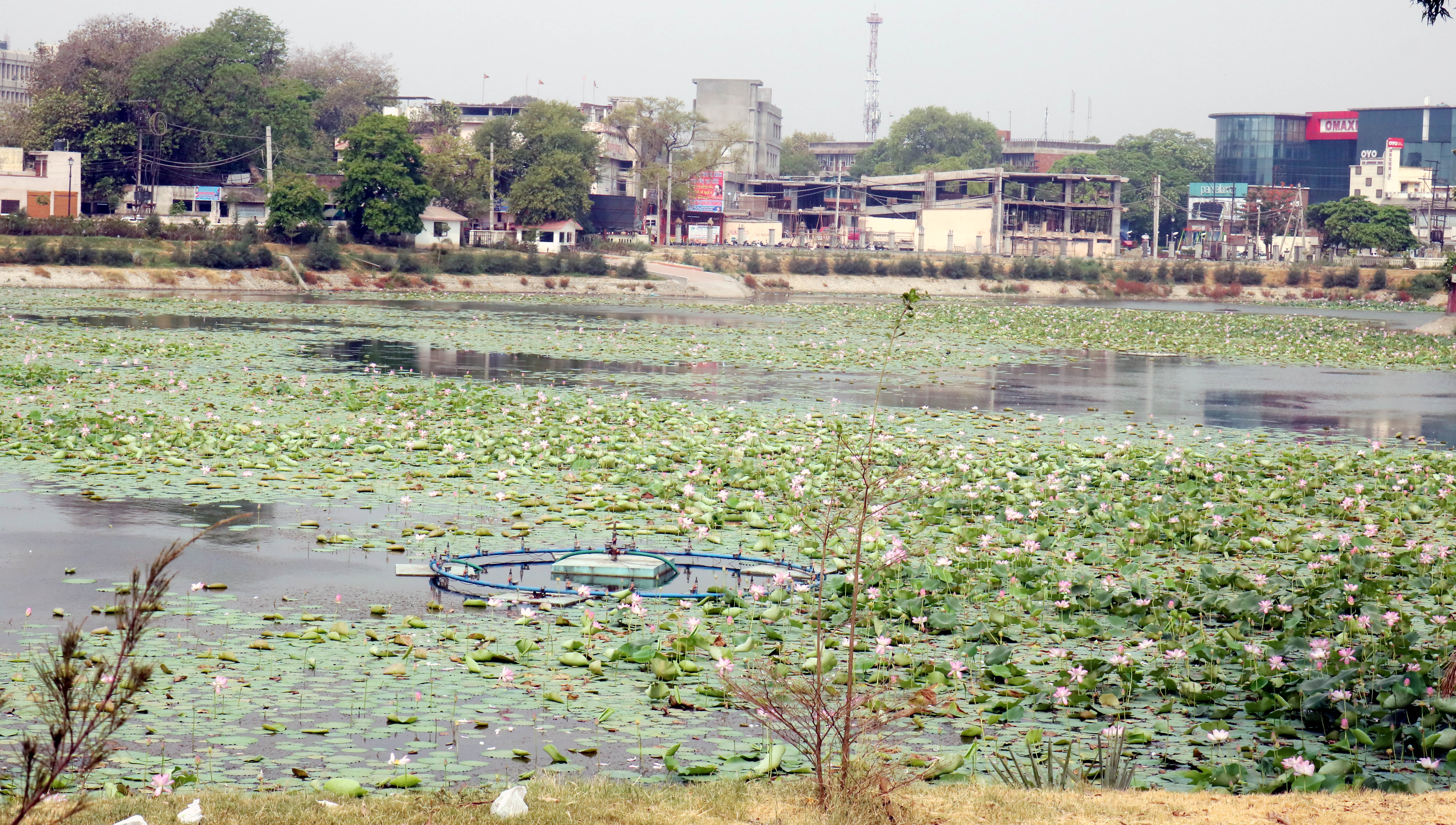 Cleaning Rajindra Tank Lake top priority for Patiala DC