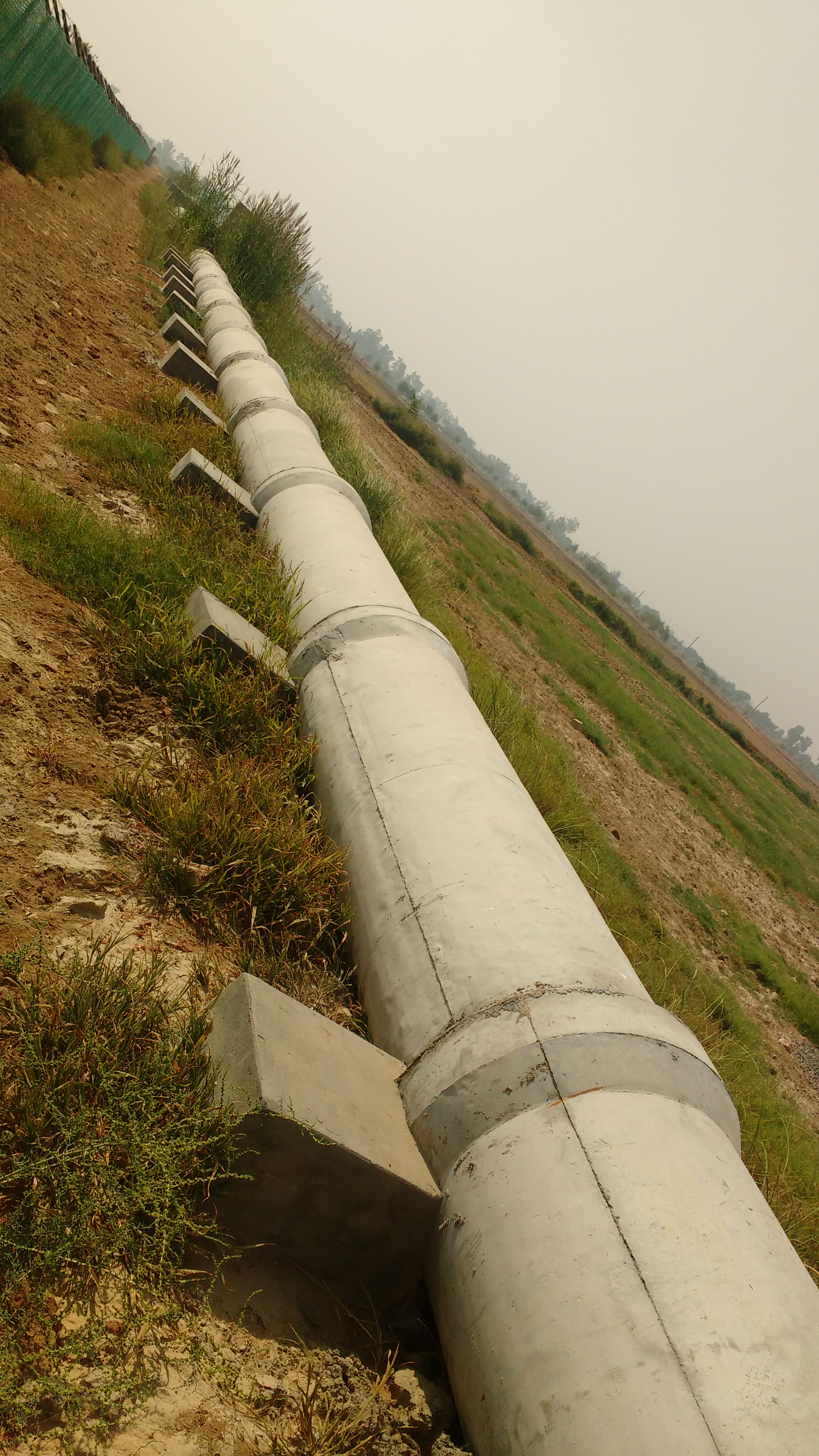 Rs 70 lakh spent but pipeline fails to supply water to wheat research institute farm in Hisar