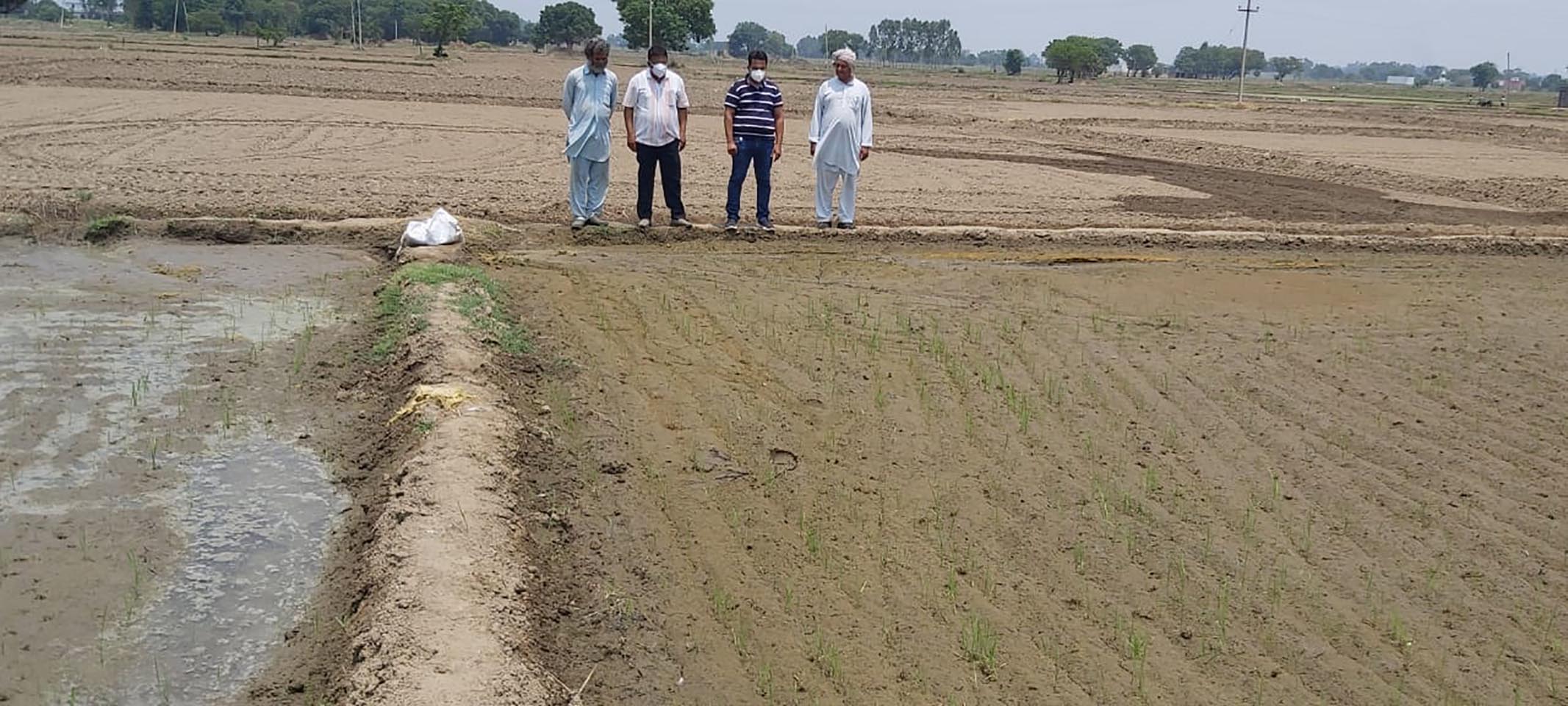 Haryana announces Rs 4,000 per acre incentive for farmers using new paddy sowing method