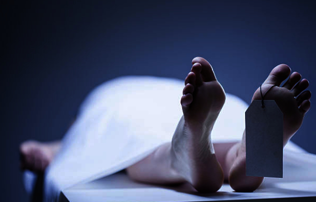IT professional from Chandigarh found dead in Noida flat