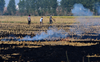 Ludhiana: Complaint filed against farmers for burning stubble