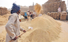 After wheat export ban, Centre extends procurement deadline