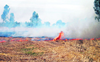 Wheat stubble burning continues in many districts in Haryana