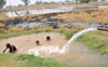 Defying advisory, farmers water fields for paddy