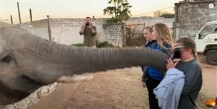 No photos! Elephant whacks girl taking pictures, gets annoyed over uncalled paparazzi; video inside