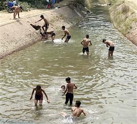 Patiala: Youths don’t care two hoots for ban, swim in Bhakra Canal