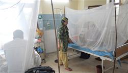 Dengue cases rise to 6 in dist in less than a fortnight