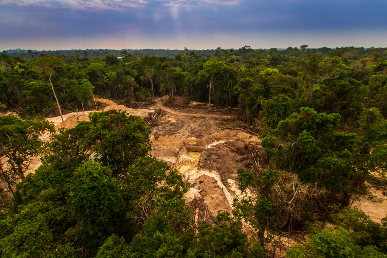 Brazil’s Amazon deforestation hits April record, nearly double previous peak