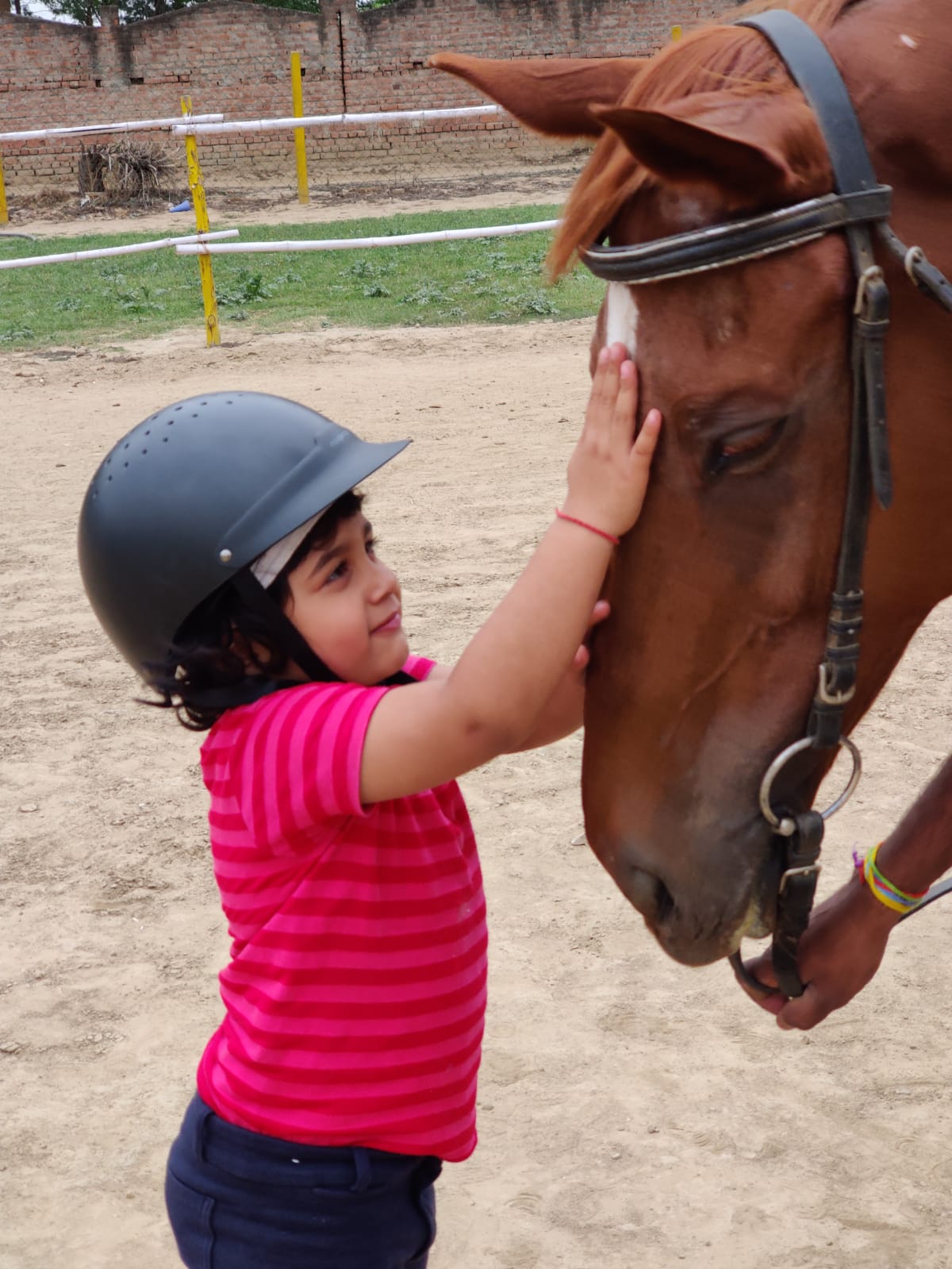 At 5, this little girl leaving no stone unturned for her equestrian dream