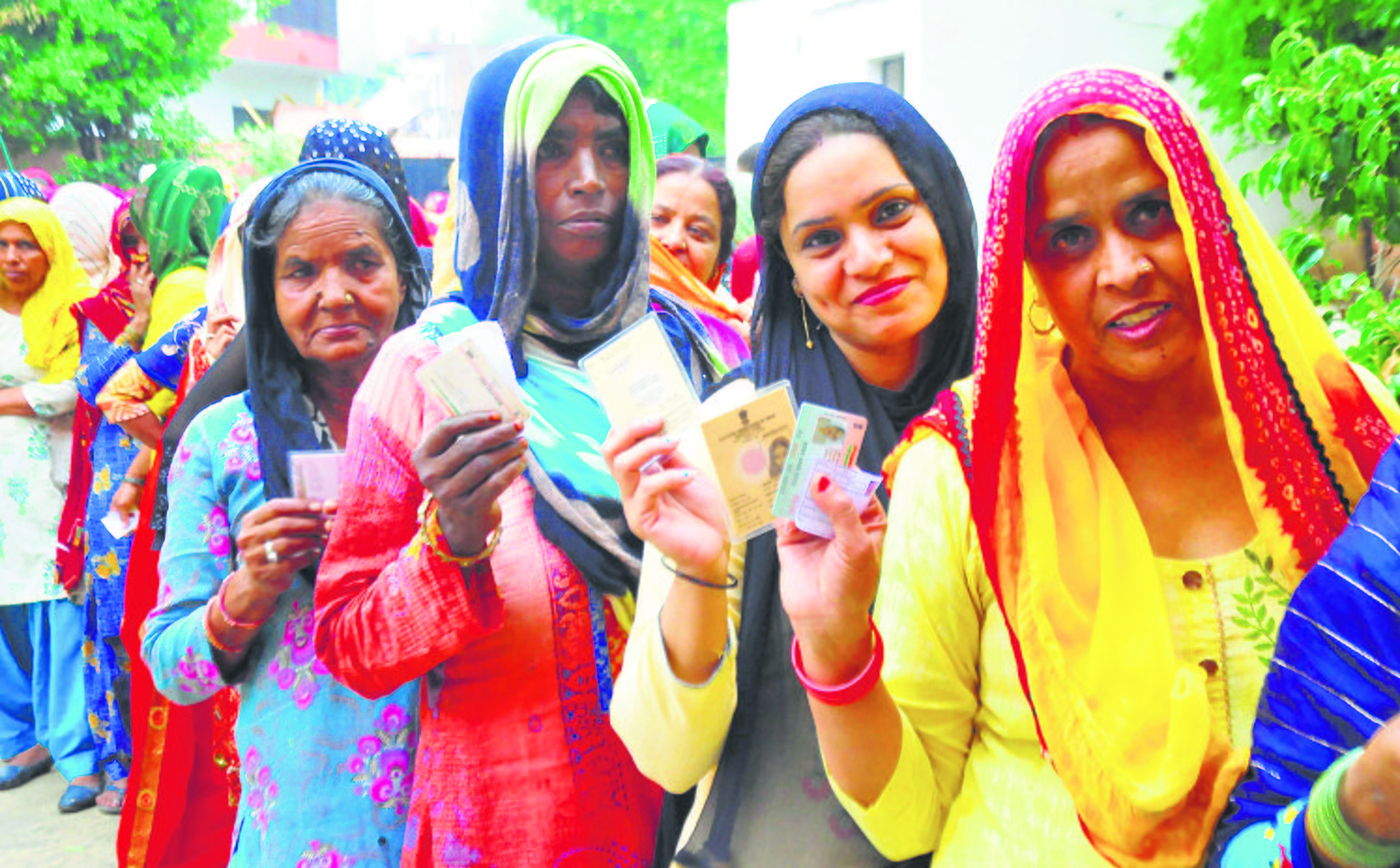 Haryana MC Poll: At 85.9%, Barwala sees highest voter turnout