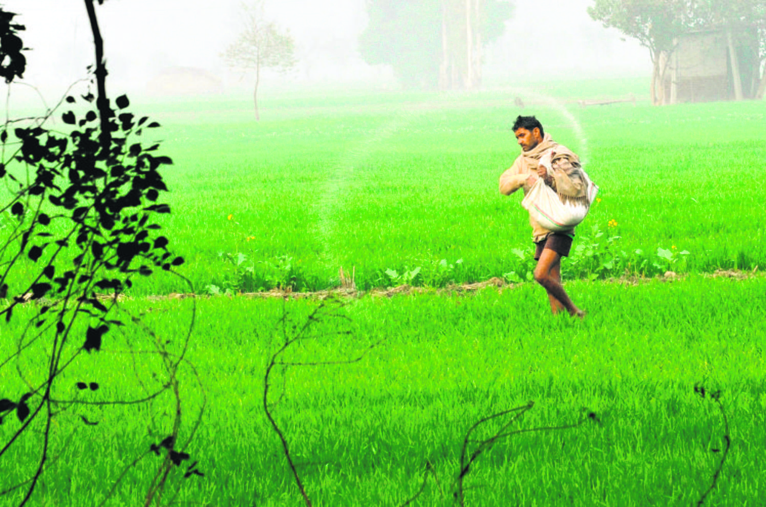 Cooperative farming must to raise income: Forum