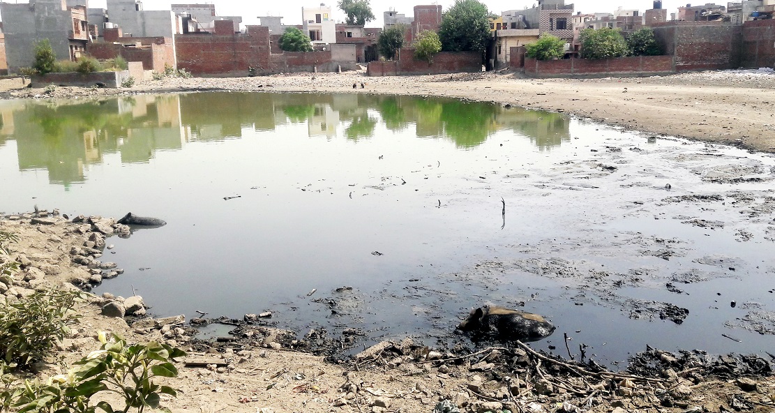 Waterlogging raises concern of mosquito breeding in Amritsar