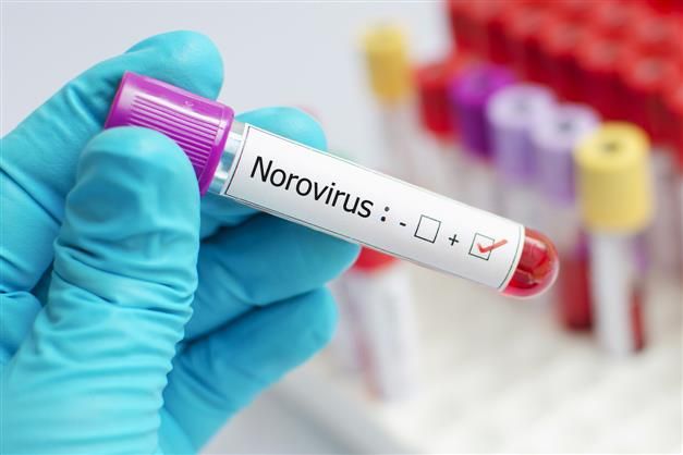 2 norovirus cases in Kerala, Centre seeks report