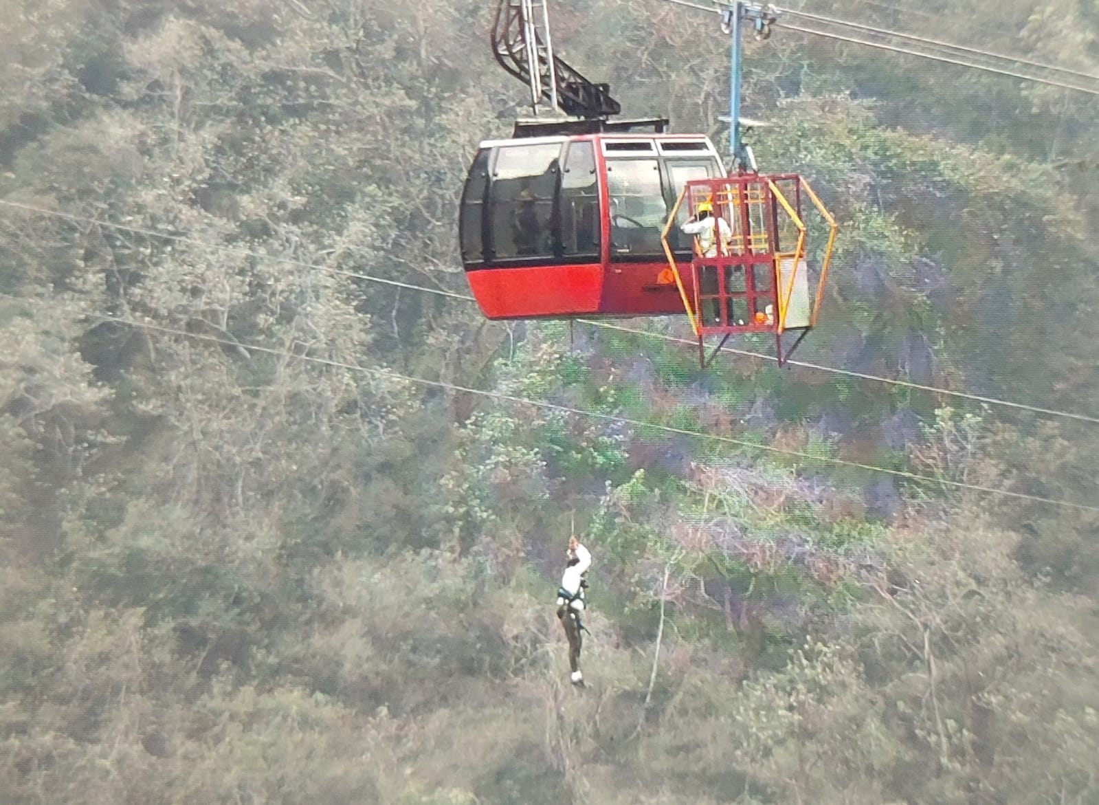 All 11 tourists rescued from cable car stuck mid-air at Timber Trail  Resorts in Himachal's Parwanoo