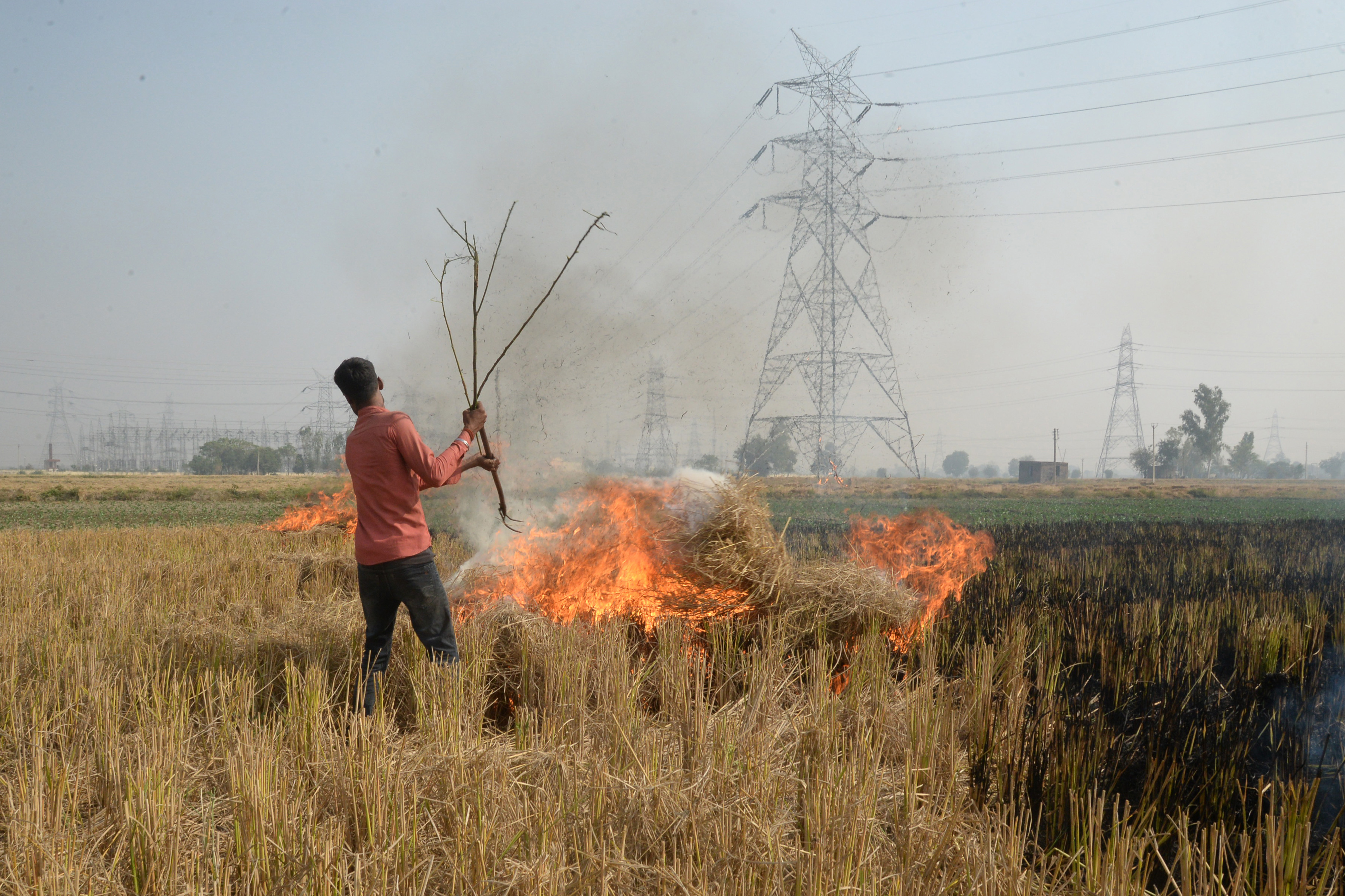 Burnt area under paddy straw highest in last kharif season