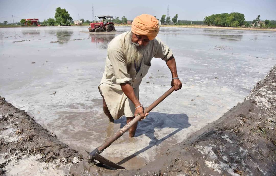 PM-Kisan scheme: Over 1 lakh farmers get income support in Ludhiana district