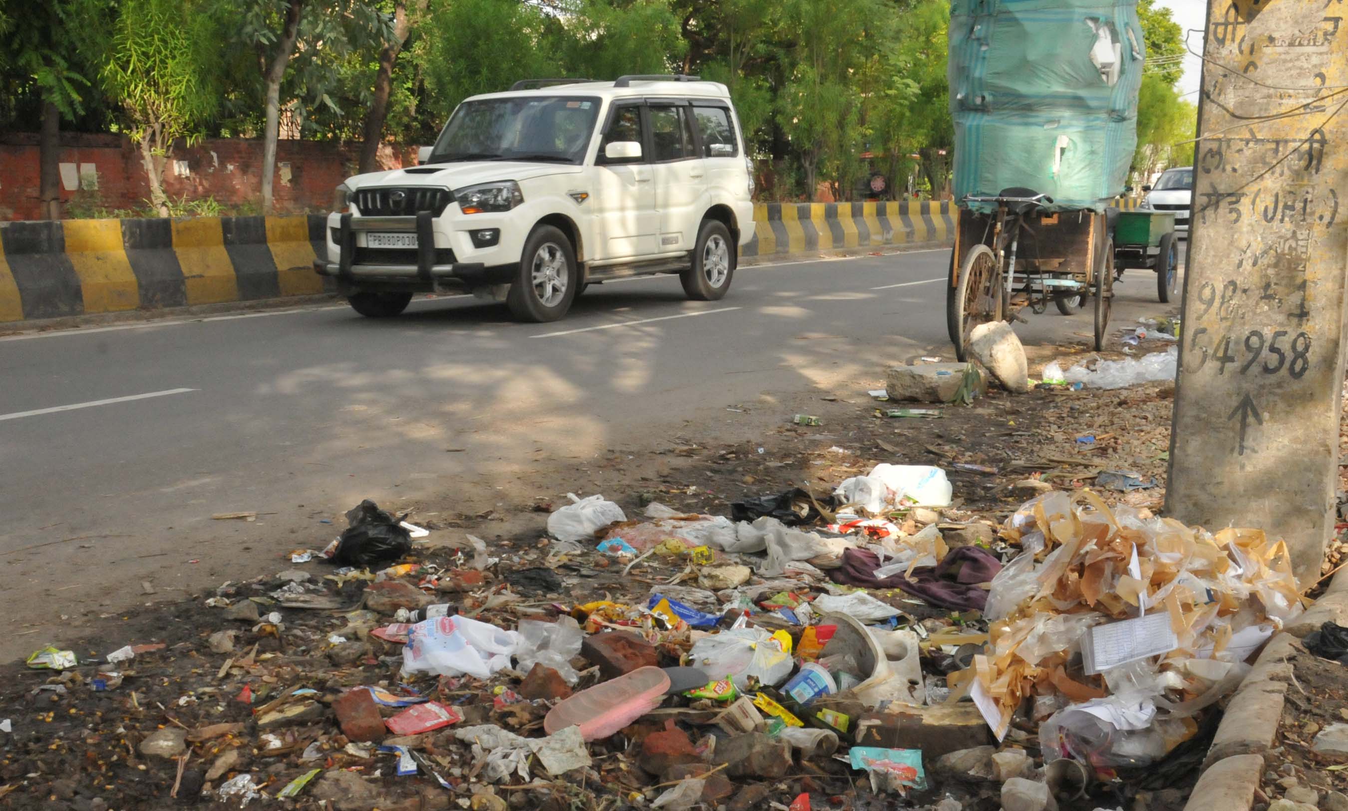 Jalandhar: Only 53 challans in 8 months for dumping garbage on roads