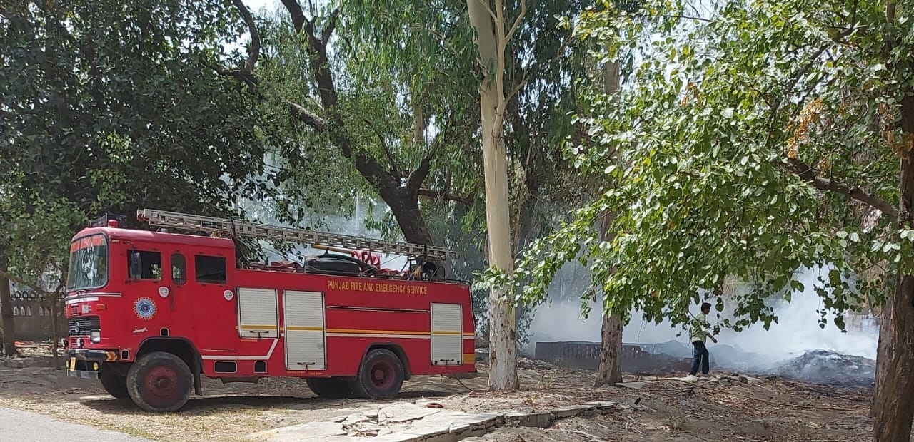 Strollers feel suffocated as tree residue catches fire in Amritsar's Company Bagh