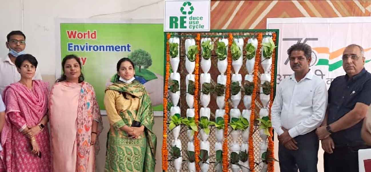 World Environment Day: Plantation drive held, vertical garden established in Patiala