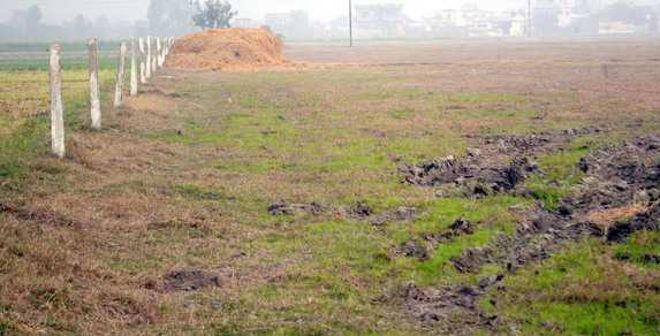 Restore 3,603 acres along Chandigarh to Majri panchayat: Punjab Govt order