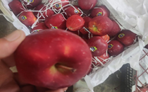 Healthy punch, Himachal may dish out apples in schools & hospitals