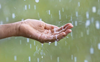 Must adopt rainwater harvesting, says morcha