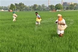 Punjab Budget: Free power for farms, groundwater priority