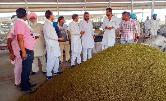 Help farmers maximise gains from moong