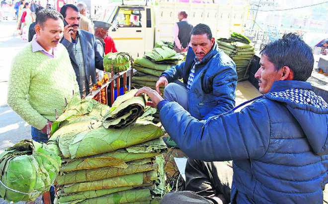 Ambala: Eco-friendly items find space on counters
