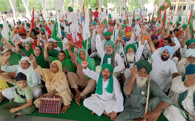 Farm labourer unions to launch sit-in from August 8