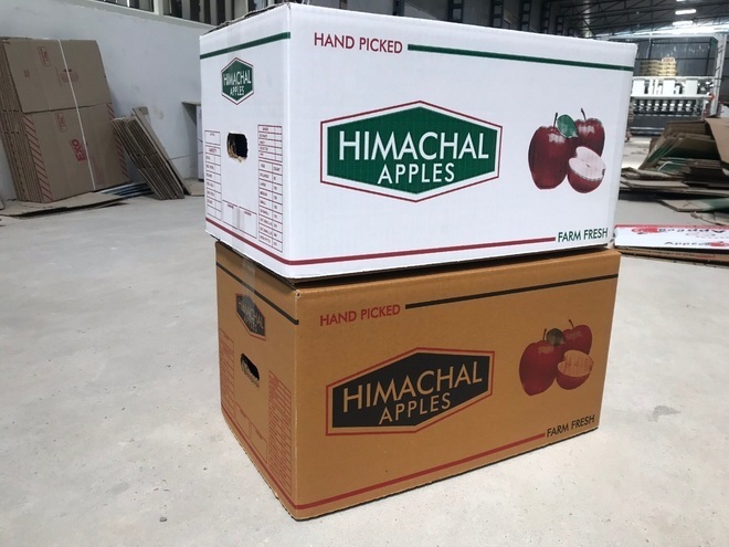 Apple cartons costlier by 10 to 15 pc this year