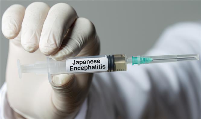 Three more persons die of Japanese Encephalitis in Assam, 23 new cases found