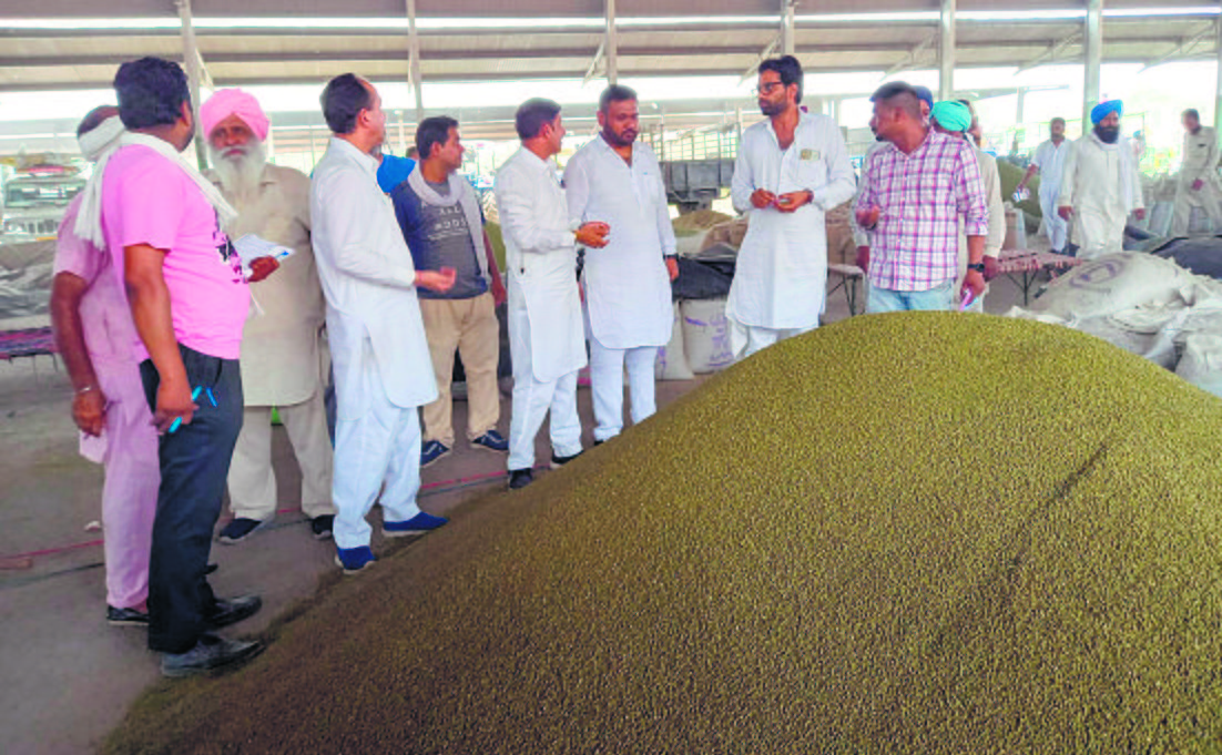 To pacify farmers, govt set to relax procurement norms for moong