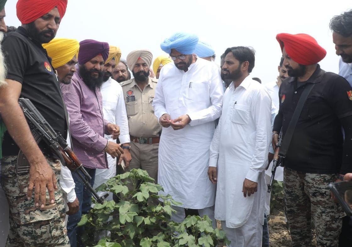 Punjab Agriculture Minister inspects cotton crop damaged by pest attack; assures compensation
