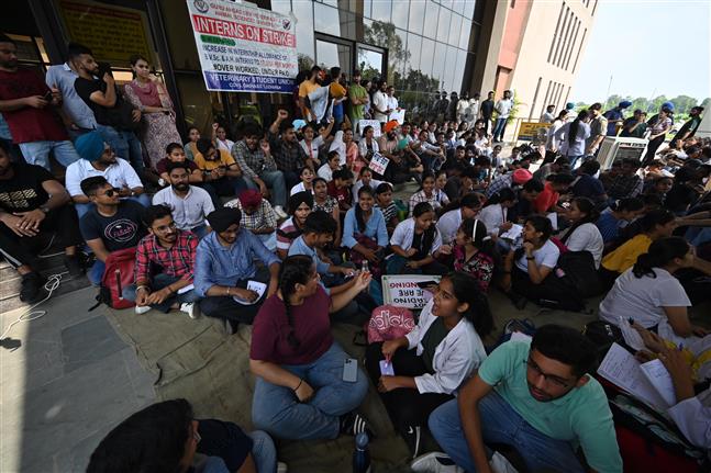 GADVASU: Vet students go on indefinite strike, OPD services affected