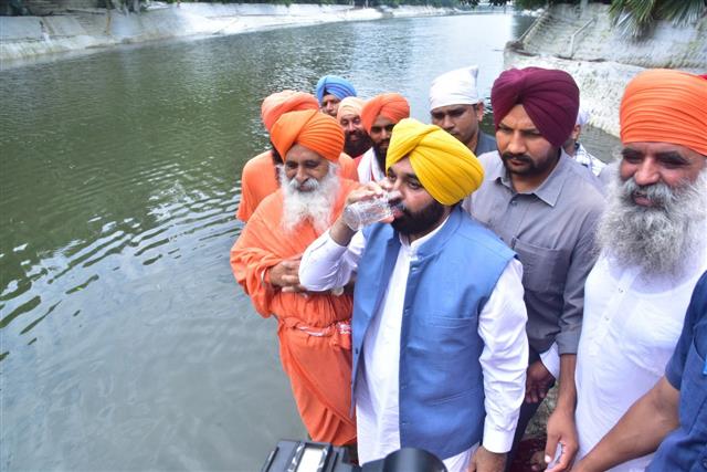 Plant 5 trees on getting power connection: Punjab CM