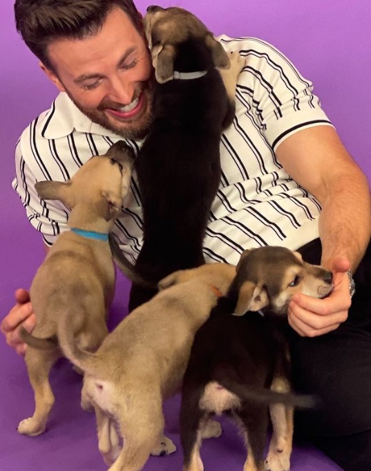 Message for Chris Evans' future girlfriend: You got to be a dog lover