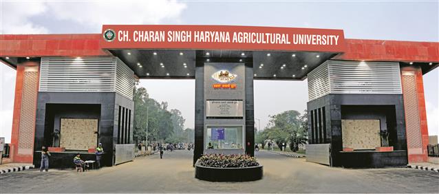 Haryana Agricultural University entrance examination