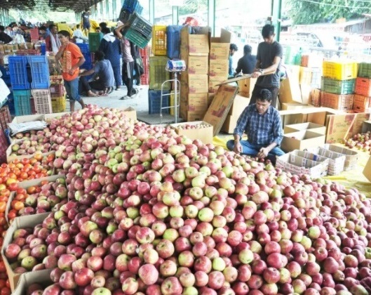 Himachal apple growers to protest rising cost of packaging material today