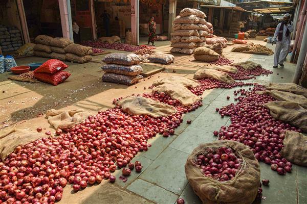 Punjab richt met Nederlandse hulp expertisecentrum voor uien op: The Tribune India