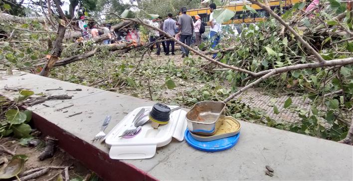 Chandigarh: Carmel Convent School girl dies as tree falls on kids