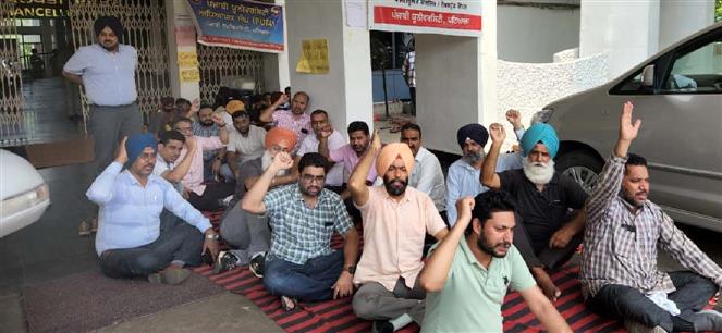 Punjabi University faculty up in arms over non-payment of salary