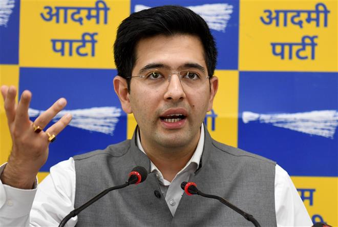 AAP leader Raghav Chadha's appointment as Punjab advisory committee chairman challenged in High Court