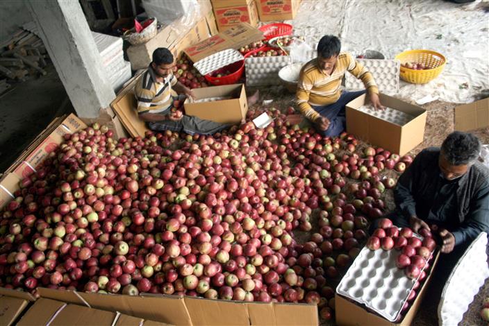 Maintain roads for apple season: Kullu ADM to PWD
