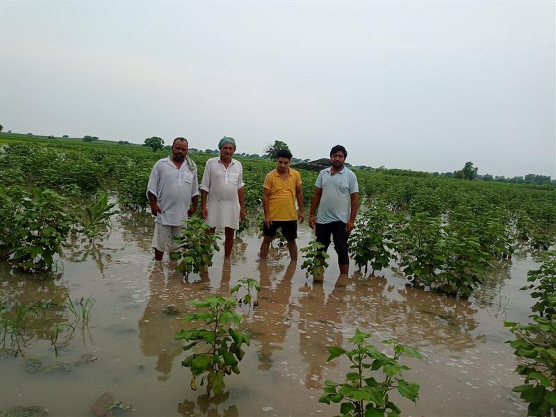 Villages face flood-like situation in Hisar district