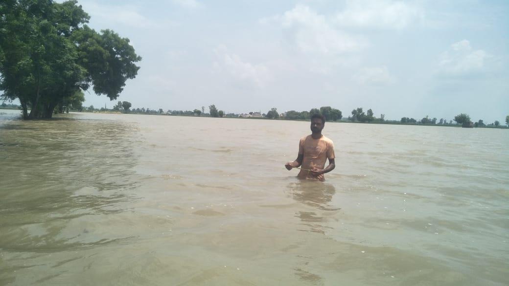 Showers inundate fields in Sangrur, farmers fear loss