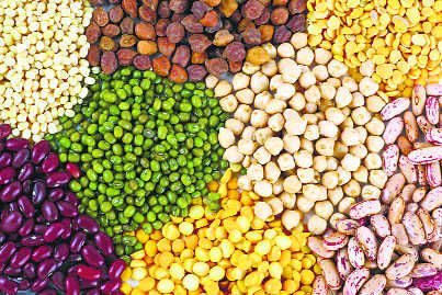 Farmers growing pulses, oilseed to get Rs 4K per acre