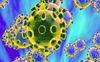 Covid threat persists, expand vax coverage, WHO tells Southeast Asia