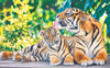 International Tiger Day: Awareness sessions held at Chhatbir zoo