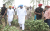 Minister inspects pest-hit cotton fields in Bathinda